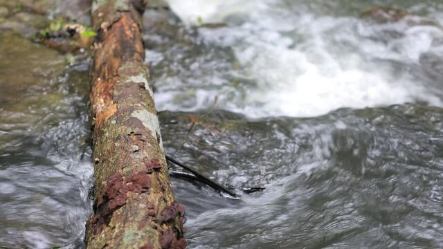 	
Waterfall in Namtok Samlan National Park