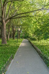 A jogging lane in a park in Shanghai, China.