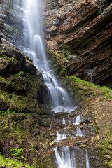 Fototapeta na wymiar Lush waterfall on the rock covered by the moss and ferns, Zeleni vir, mountains of Croatia