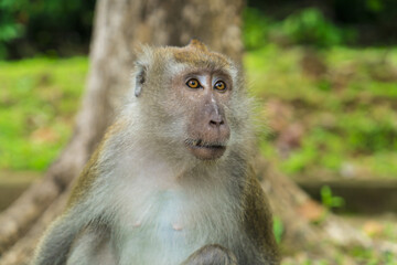 Langkawi - Kuala Lumpur - Malaisie 