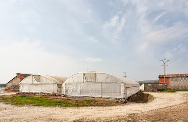 Fototapeta na wymiar A plastic agriculture greenhouse hothouse in farm garden