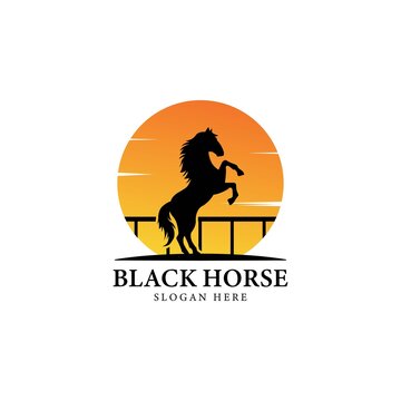 Black horse silhouette logo on sunset background