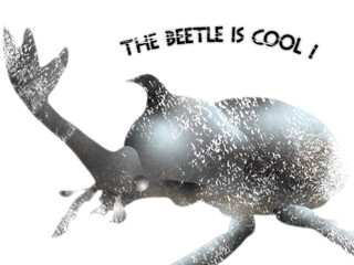 アートに描いたカブトムシ