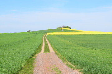 Feldweg im Frühling
