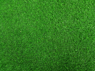 Artificult turf  green seamless texture.