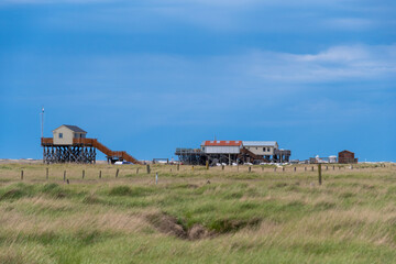 Fototapeta premium Stilt house in the salt marshes of Sankt Peter-Ording