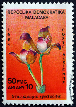 Postage stamp Malagasy 1984 spectacular grammangis, orchid