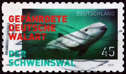Obraz premium Postage stamp Germany 2019 harbour porpoise, marine mammal