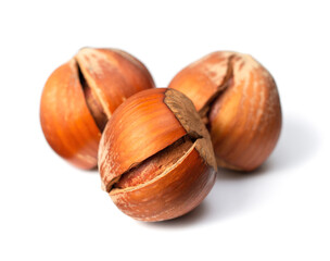 whole hazelnuts isolated on white background