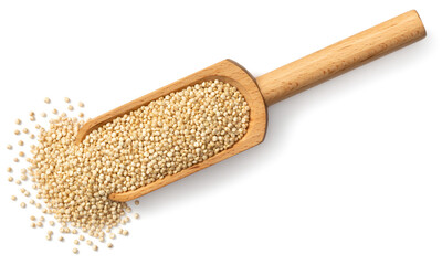 raw white quinoa in the wooden scoop, isolated on white background, top view