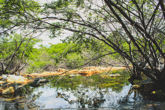 cachoeira sert&atilde;o caatinga bahia