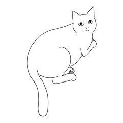 座っている猫の線画イラスト