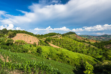 Aerial view landscape from the top of mountain