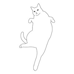 猫の全身イラスト　寝転がる猫