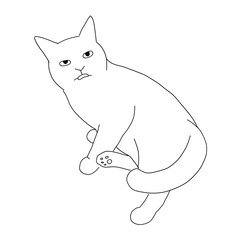 猫の全身ドローイング　リラックスして舌が出ている猫