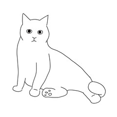 猫の全身ドローイング　座っている猫