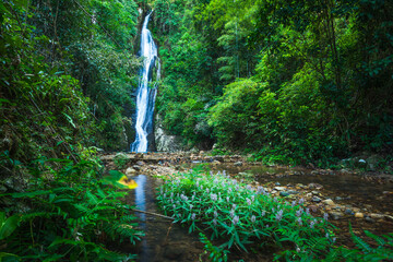 Waterfall in the tropical rainforest landscape