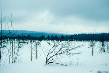 Hautes Fagnes, Réserve naturelle, Belgique