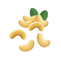 Cashew nuts with leaves on a white background.