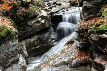 Fototapeta premium Stream running between rocks, surrounded by fallen leaves in the Gamueta beech forest, in the valley of Ansó.