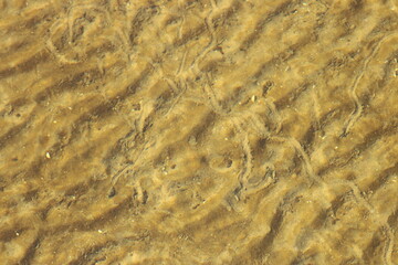 Lake with Clear Water and Sandy Bottom