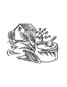 illustration of flour mill and grains