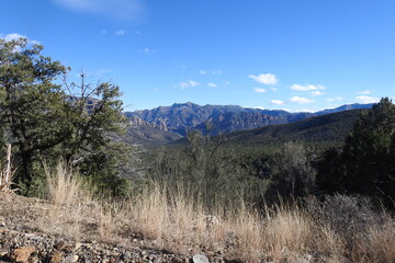 Chiricahua Mountain wilderness in the Coronado National Forest, southeastern Arizona.