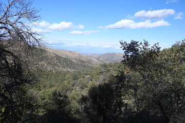 Chiricahua Mountain wilderness in the Coronado National Forest, southeastern Arizona.
