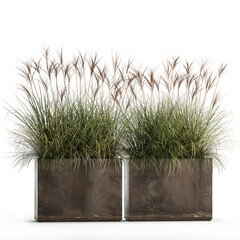 3D digital render of reeds in a rust pot isolated on white background