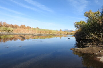 The beautiful scenery of the Lower Salt River in the Sonoran Desert, Mesa, Arizona.