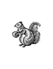 woodcut illustration of squirrel