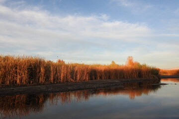The beautiful scenery of the Lower Salt River in the Sonoran Desert, Mesa, Arizona.
