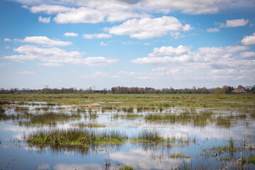 View over a Dutch landscape with polder, grass, blue sky, white clouds reflecting into the water