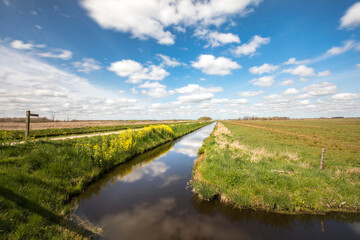 View over a Dutch landscape with a canal, grass, blue sky, white clouds  - obrazy, fototapety, plakaty