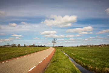 Fototapeta na wymiar Dutch landscape with a road, a cycling path, a tree, a canal with blue sky and clouds, province Groningen, the Netherlands