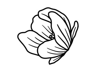 Hand drawing and sketch flower with line art illustration.