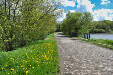 Spring rural landscape, old road in village