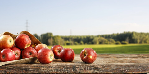 Fresh apples and summer landscape 