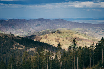 A canyon with a mountain in the background
