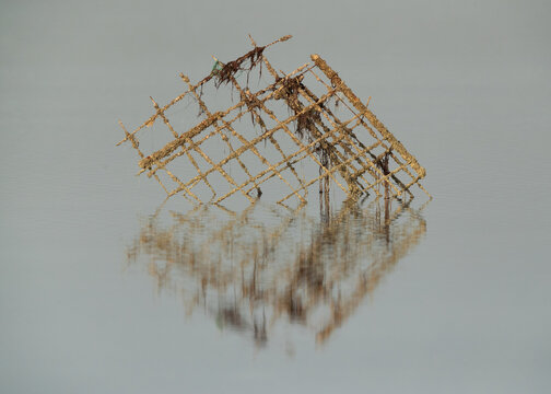 Metallic iron mesh at Busiateen coast with reflection on water