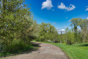 Fototapeta na wymiar Spring rural landscape, old road in village