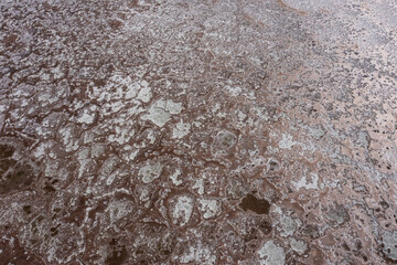 Abstract pattern of brown and white fractal structures actually a top-down aerial view to drying surface of a salt lake