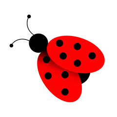 Ladybug, red beetle vector graphic. Isolated on white background.