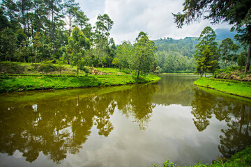 Cisanti lake, the  upstream, begining point of Citarum River in Bandung Regency, West Java, Indonesia. A beautiful natural scene in the middle of a forest.