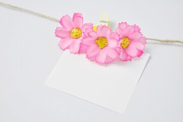 Beautiful pink plastic flowers with reminder note hanging on clothespin on clothesline - isolated on white background