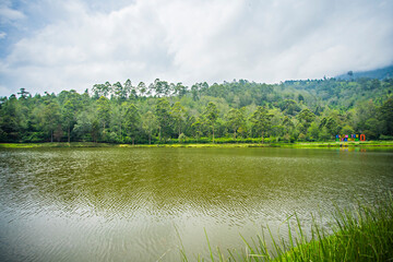 Cisanti lake, the  upstream, begining point of Citarum River in Bandung Regency, West Java, Indonesia. A beautiful natural scene in the middle of a forest.
