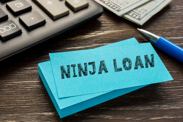 Business concept meaning NINJA LOAN with phrase on the piece of paper.