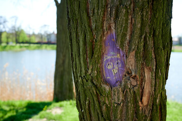 Nad stawem © Dariusz