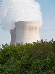 Steaming cooling towers of the nuclear power plant behind a heap of tall green bushes