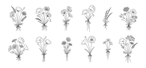 Wildflower line art bouquets set. Hand drawn flowers, meadow herbs, wild plants, botanical elements for design projects. Vector illustration. - obrazy, fototapety, plakaty